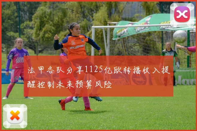 法甲各队分享1125亿欧转播收入提醒控制未来预算风险